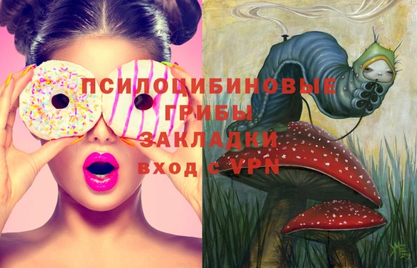 молекула духа Баксан